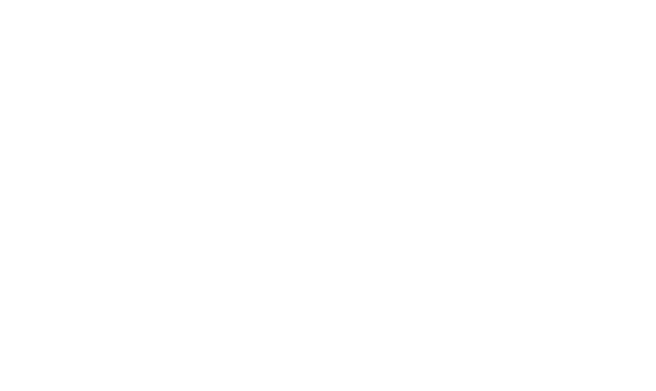 Gepi Srl